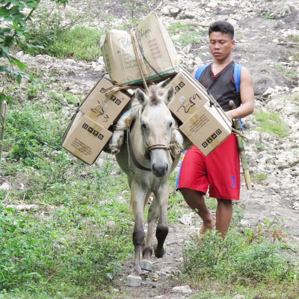Off-grid Solar System Project in the Philippines