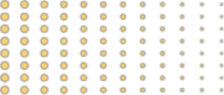 以匠心赋光明丨中腾微网尼日尔微电网项目迎世界银行考察团插图3